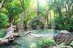 Andaman Thailand outdoor photography of waterfall in rain jungle forest. Trees, PHUKET,