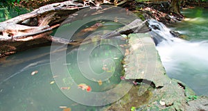 Andaman Thailand outdoor photography of waterfall in rain jungle forest. Trees, PHUKET,