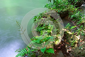 Andaman Thailand outdoor photography of waterfall in rain jungle forest. Trees, PHUKET,