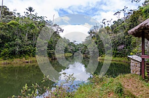 Andasibe Rainforest in Madagascar