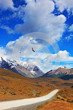 Andean condors fly over the lake