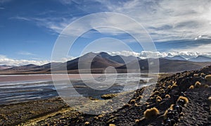 Andean Eduardo Avaroa National Wildlife Reserve, Bolivia, South America