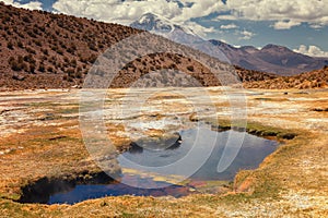 Andean geysers the Junthuma, formed by geothermal activity, Bolivia