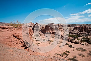 Andean landscape