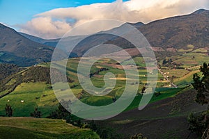 Andean landscape, cultivated fields