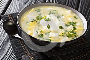 Andean Soup pisca Andina it consists of potatoes, milk, egg, Fresh cheese and is flavored with cilantro close-up in a bowl. photo