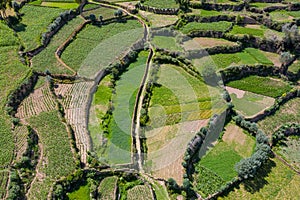 Andenes or platforms for agricultural purposes in the Andes