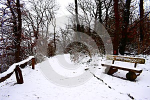 Andernach, Germany - 01 17 2021: snow covered forest path and park bench on Krahnenberg