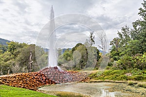 Andernach Geyser - start of eruption