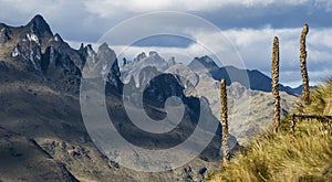 Andes. Cajas National Park, Ecuador