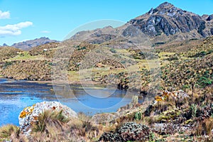 Andes. Cajas National Park, Ecuador