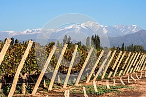 Andes mountain range, in the Argentine province of Mendoza