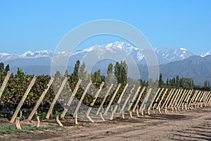 Andes mountain range, in the Argentine province of Mendoza