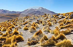 Andes Mountain Range in Bolivia, South America