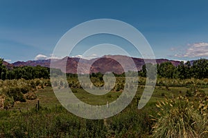 Andes mountain range seen from Uspallata