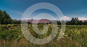 Andes mountain range seen from Uspallata