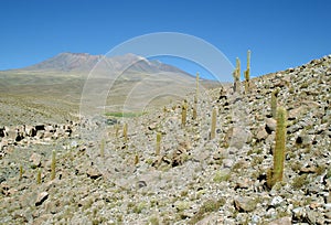 Andes Mountains, Chile