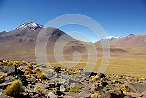 Andes Mountains, Chile photo