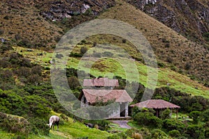 The Andes mountains, houses and the Llama.