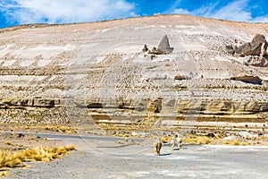 The Andes, Road Cusco- Puno, Peru,South America. 4910 m above. The longest continental mountain range in the world