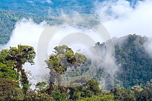 From Andes to Amazon, Ecuador photo