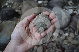 Andesite extrusive volcanic rock in a hand. photo