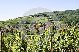 Andlau (Alsace) - Vineyards