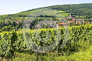 Andlau (Alsace) - Vineyards