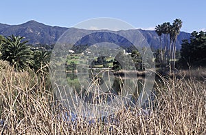 Andree Clark Bird Refuge, Santa Barbara, California photo