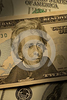 Andrew Jackson on the $20 bill