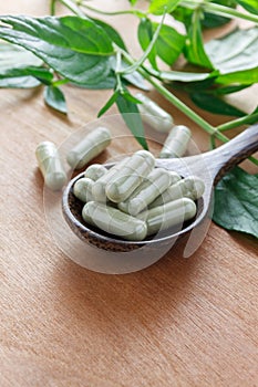 Andrographis paniculata capsule herb or creat capsule herb on wood spoon.Wood spoon and leaf, trunk creat on wood background.