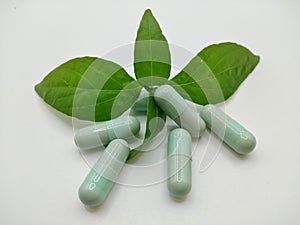 Andrographis paniculata green and capsule pills  white background concept covid-19 disease treatment by using herbs  which has