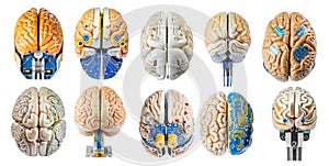 Android electronic brains collection isolated on transparent background.