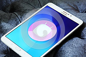 Android Marshmallow logo