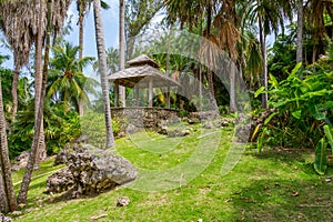 Andromeda Botanic Gardens, Barbados, Caribbean photo
