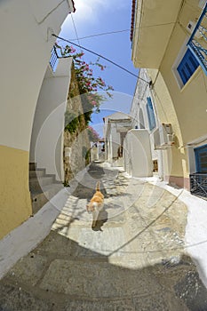 Andros island light house town