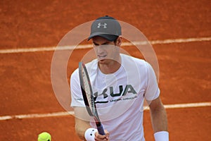 Andy Murray.