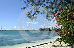 Anegada island beach