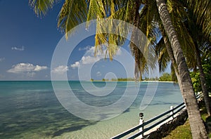Anegada island coast