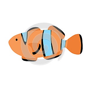 Anemone fish isolated on white. Clownfish in yellow, black and blue colors. Aquarium fish realistic vector illustration