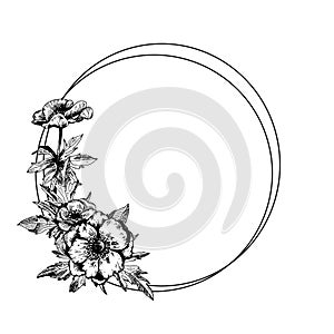 Anemone floral botanical flowers with geometric frame.