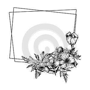 Anemone floral botanical flowers with geometric frame.