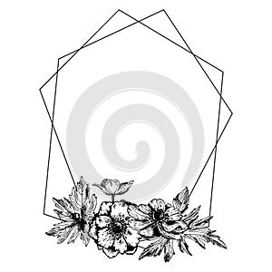 Anemone floral botanical flowers with geometric frame.