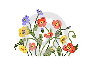 Anemone flowers cluster. Spring blooms decoration. Floral branches, stems, blossomed field plants, multicolored