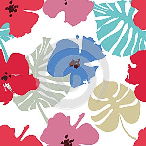 Anemone flowers pattern