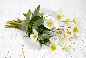 Anemone flowers