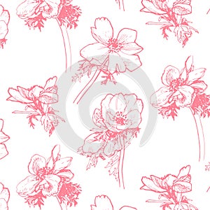 Anemone pattern. Hand-drawing