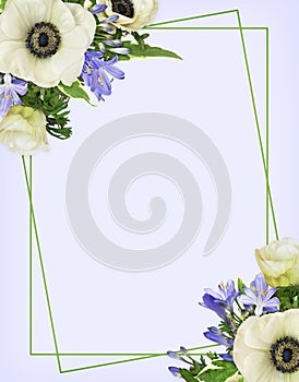 Anemones and blue agapanthus flowers in a corner floral arrangements with green frame on lilac background