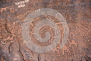 Prehistoric inscriptions in Wadi Rum, Jordan photo