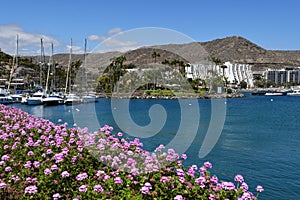 Anfi fel Mst beach, Island of Gran Canaria, Spain photo